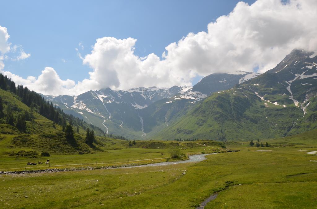 Winklers Gipfelblick Chalet, Inklusive Alpentherme - Ganzjahrig, Gasteiner Bergbahn - Nur Sommer Bad Hofgastein Bagian luar foto
